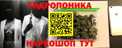 прущие грибы Кумертау
