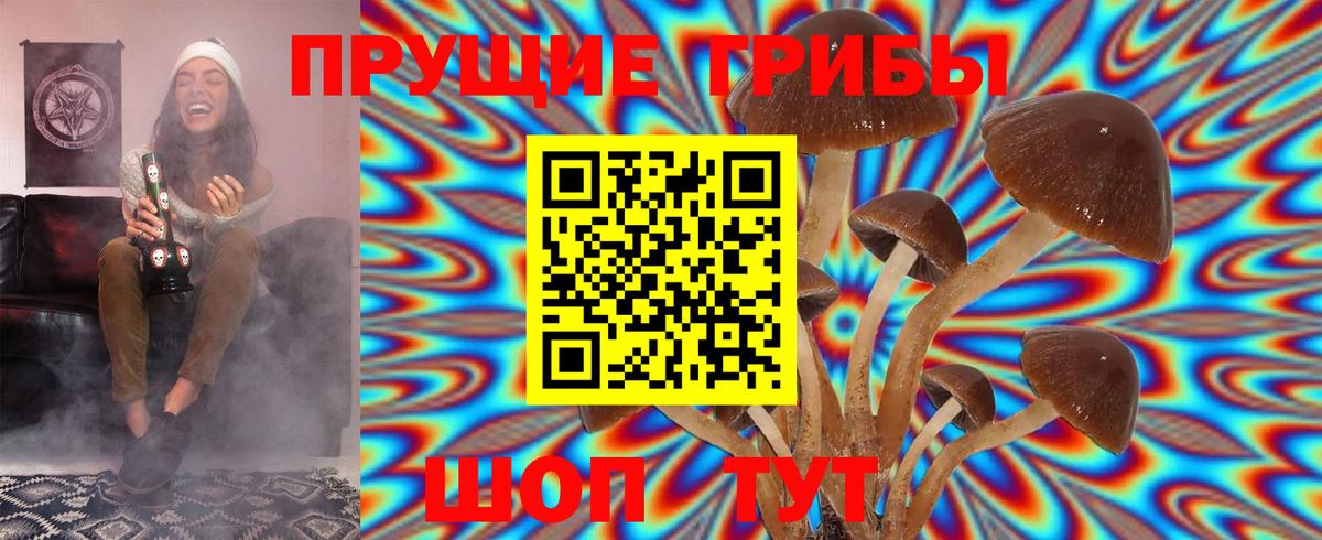 Псилоцибиновые грибы Psilocybe Углич